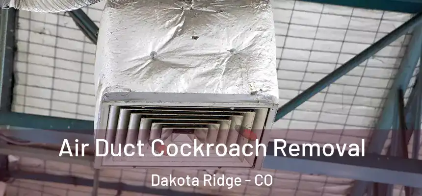  Air Duct Cockroach Removal Dakota Ridge - CO