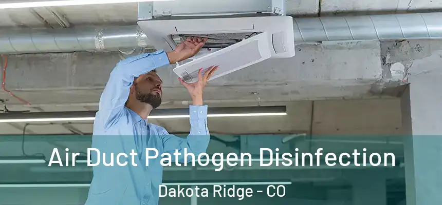  Air Duct Pathogen Disinfection Dakota Ridge - CO