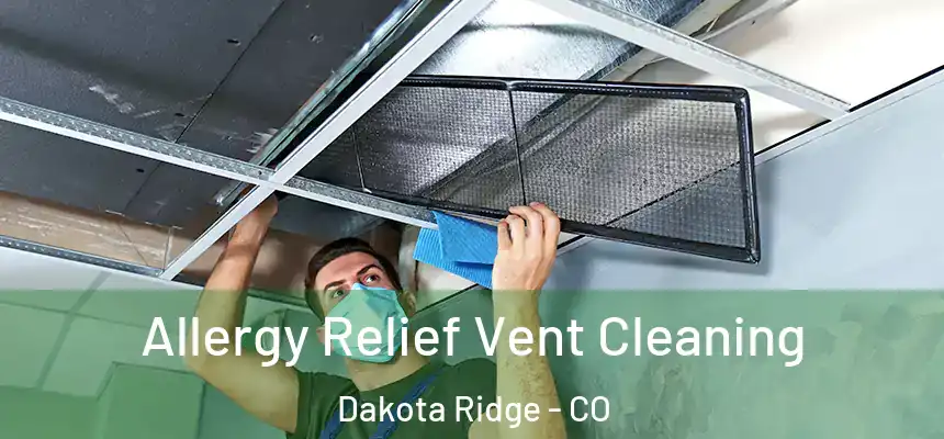  Allergy Relief Vent Cleaning Dakota Ridge - CO