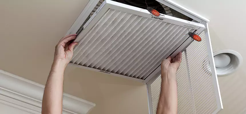 Preventive Cockroach-Proofing for Ducts in Dakota Ridge