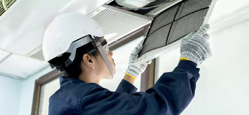 Our Mold & Mildew Removal from Air Ducts Services in Dakota Ridge, CO