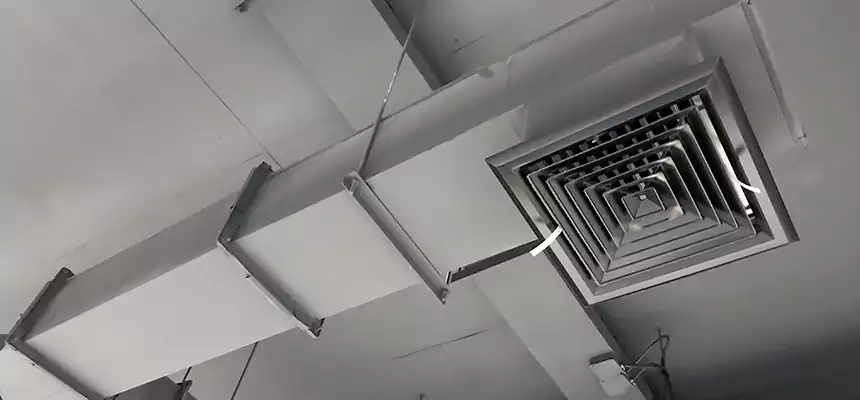 Our Rodent Droppings In Vents Services in Dakota Ridge, CO