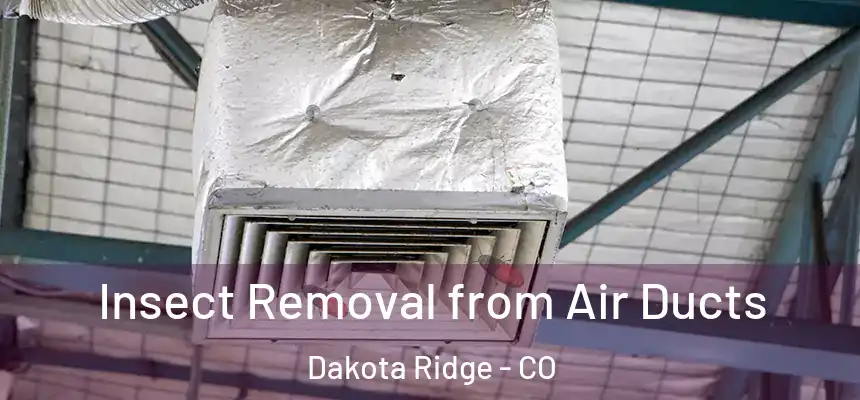  Insect Removal from Air Ducts Dakota Ridge - CO