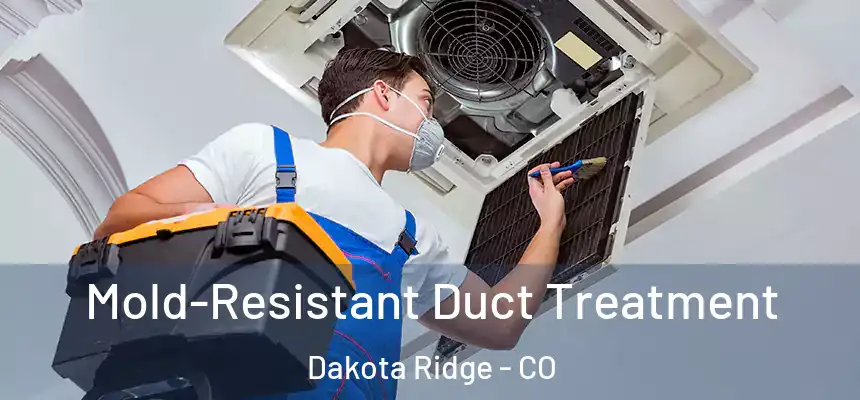  Mold-Resistant Duct Treatment Dakota Ridge - CO