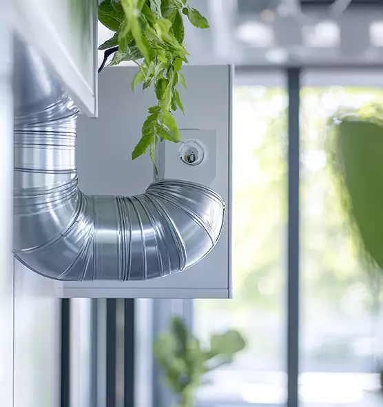 Professional Eco-Friendly Duct Cleaning Services in Dakota Ridge, CO