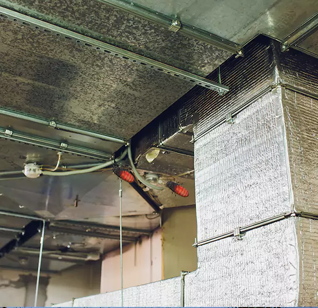 Why Homeowners & Businesses Trust Us in Dakota Ridge, CO?