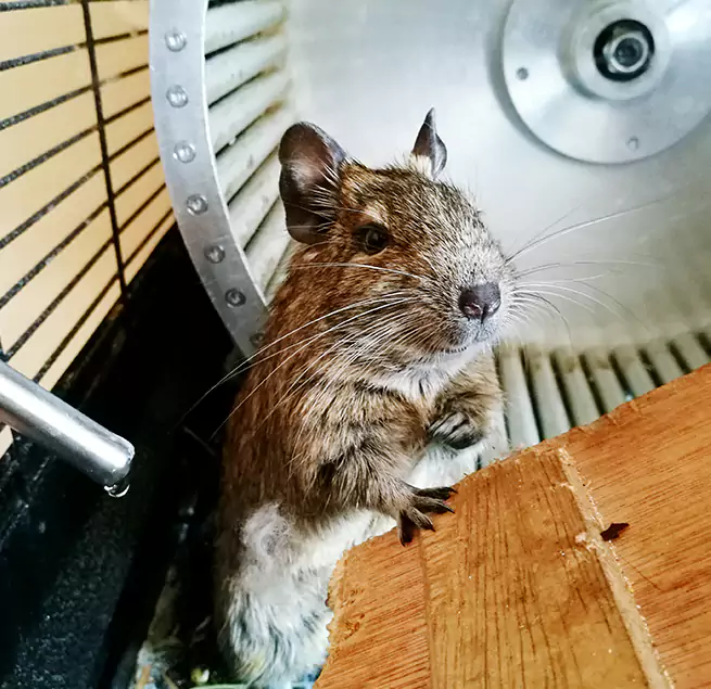 Why Homeowners & Businesses Trust Us Dakota Ridge, CO?