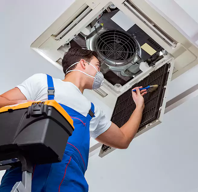 Why Homeowners & Businesses Trust Us in Dakota Ridge, CO