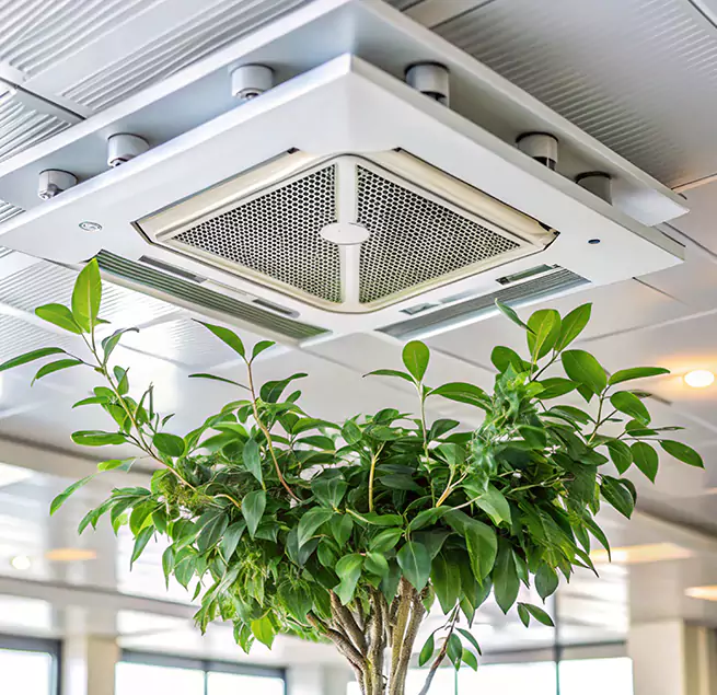 Why Homeowners & Businesses Trust Us in Dakota Ridge, CO