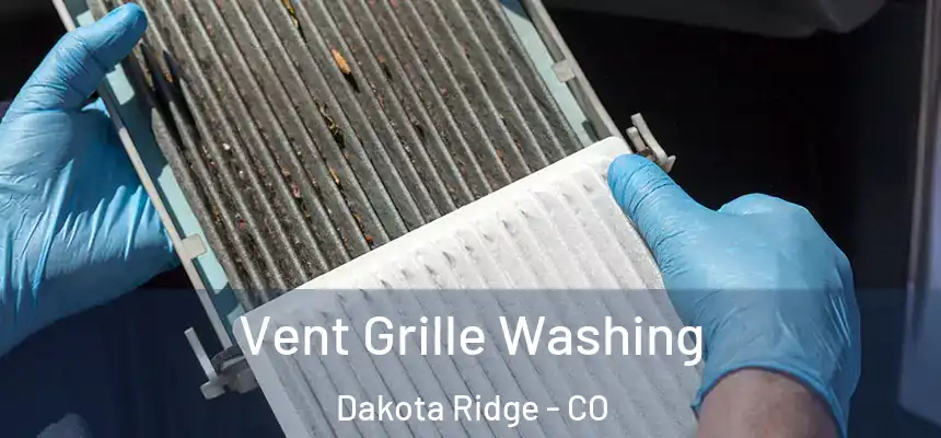 Vent Grille Washing Dakota Ridge - CO